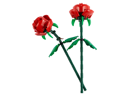 OTHER - Roses