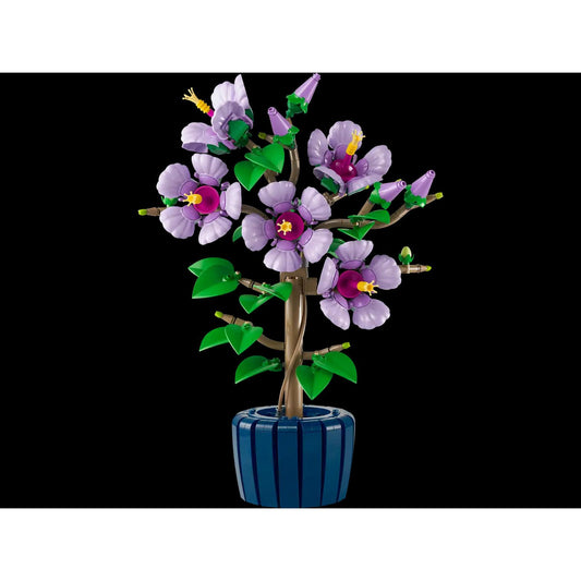 BOTANICALS - Hibiscus