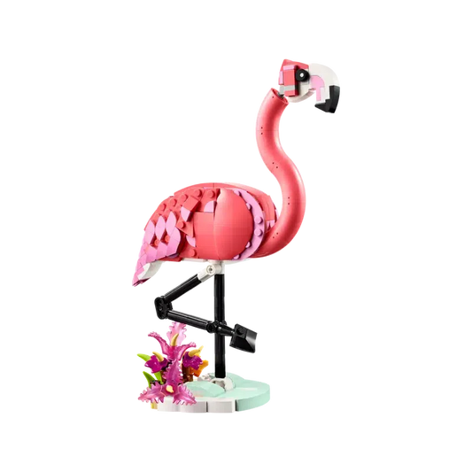 Wild Animal: Pink Flamingo