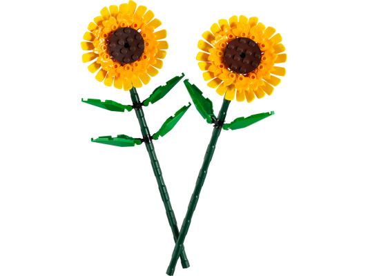 Sunflowers_1