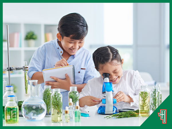 Best Educational Hobbies for Kids That Feel Like Play