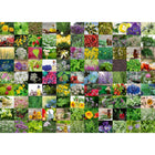 image2_1000pc 99 Herbs and Spices