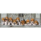 1000pc Beagles Panorama Puzzle