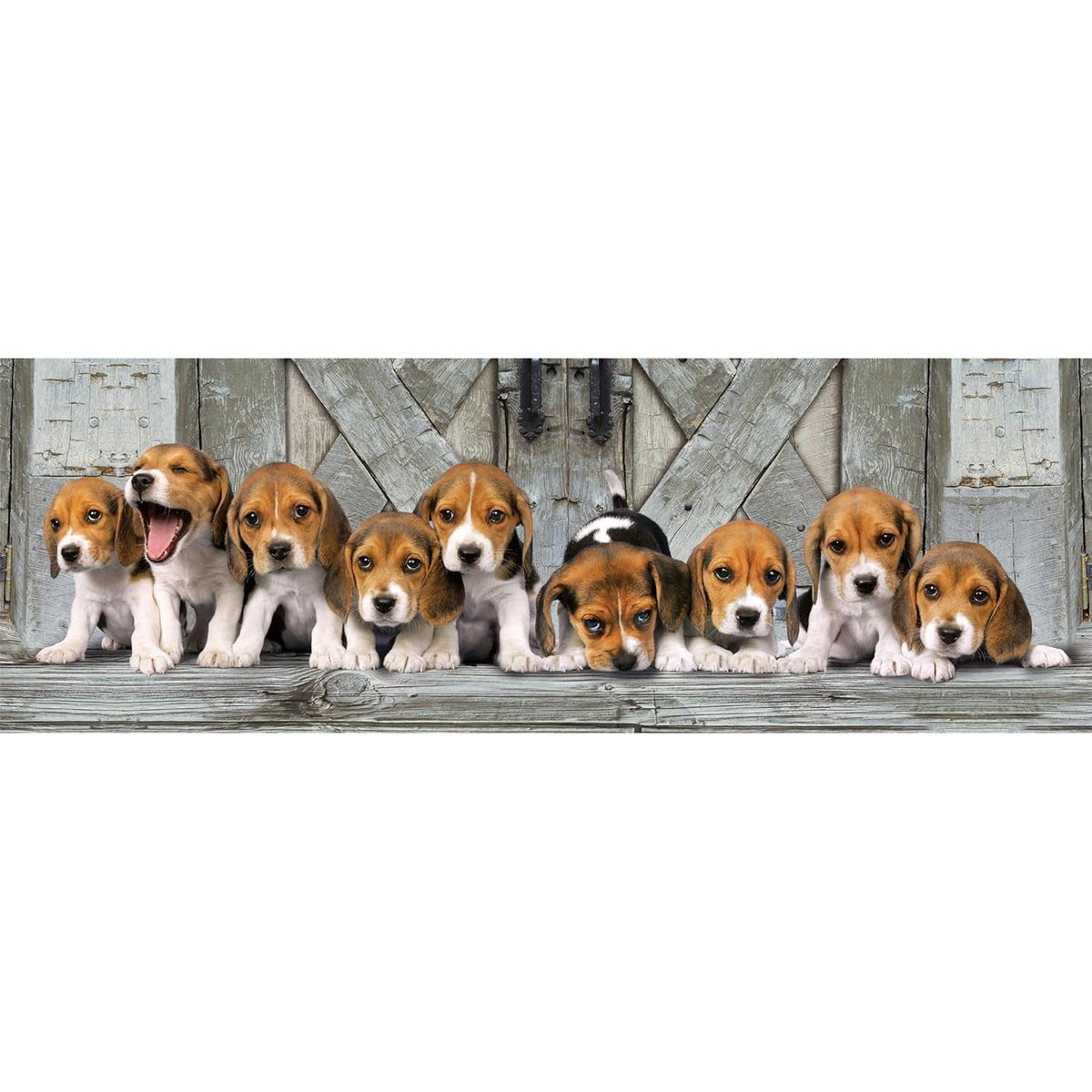1000pc Beagles Panorama Puzzle