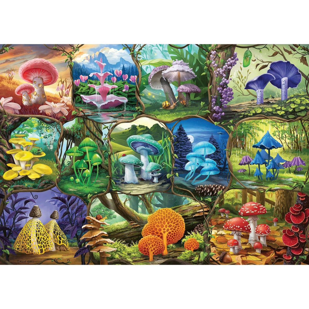 image2_1000pc Beautiful Mushrooms Puzzle