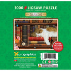 1000pc Cat Nap Tin Puzzle