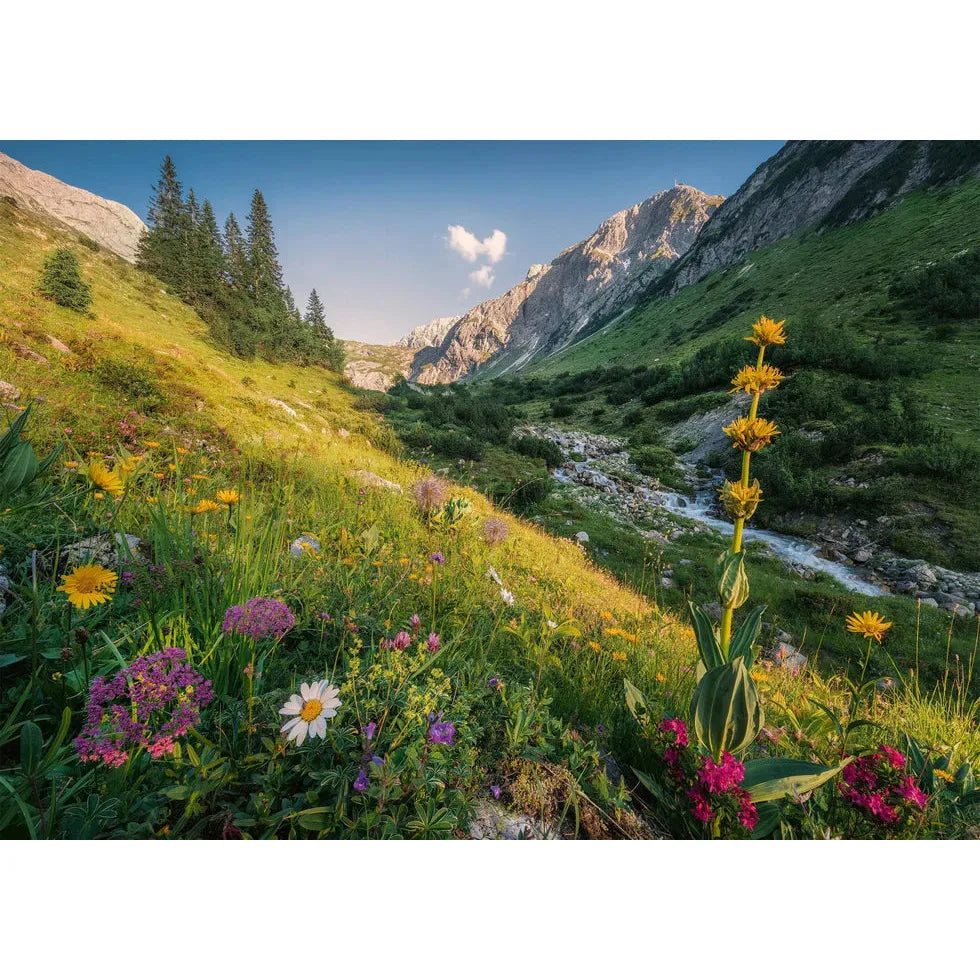 image2_1000pc Magical Valley Puzzle