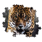 1000pc Walk of The Jaguar Puzzle