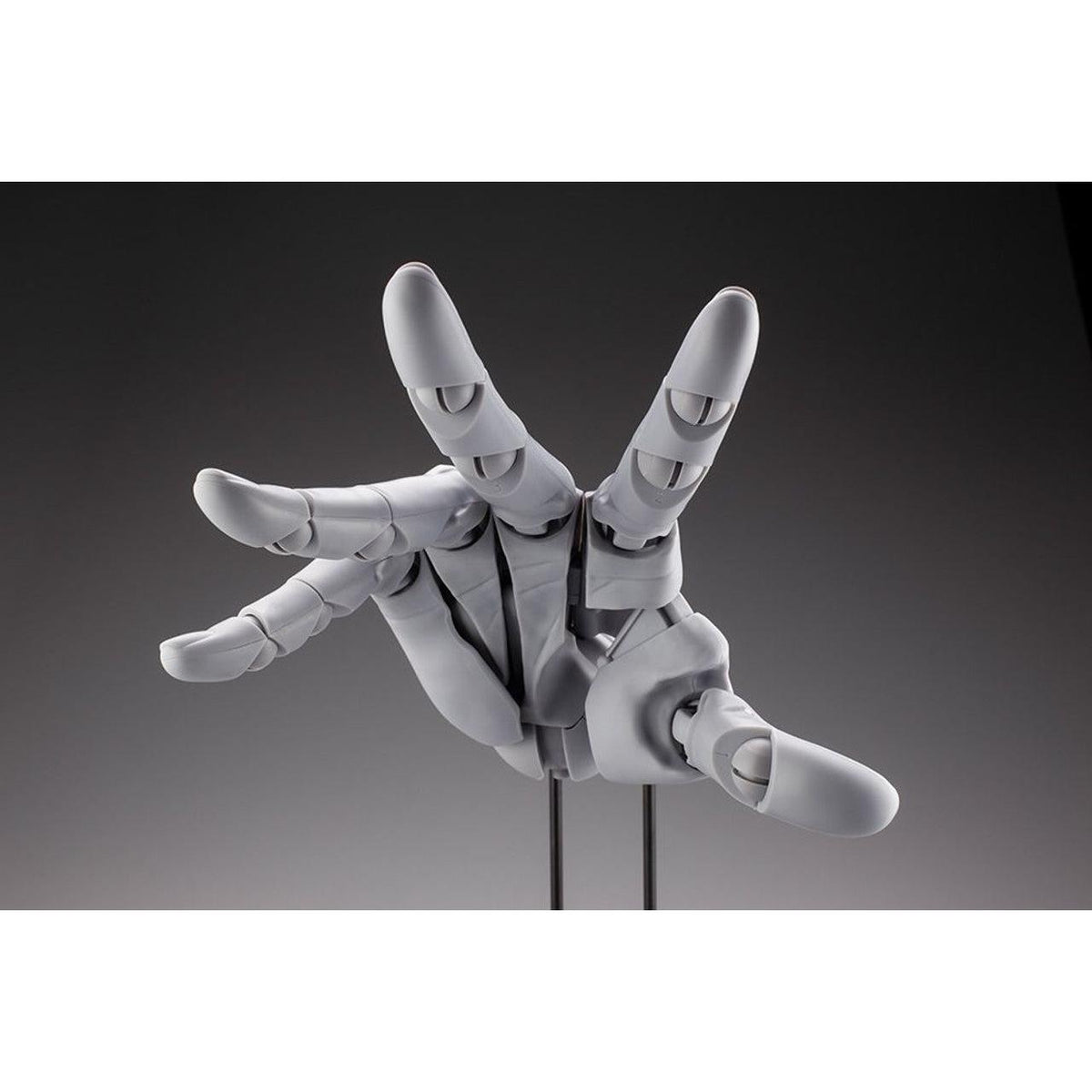 1/1 Artist Support Item Hand Model/R -Gray-