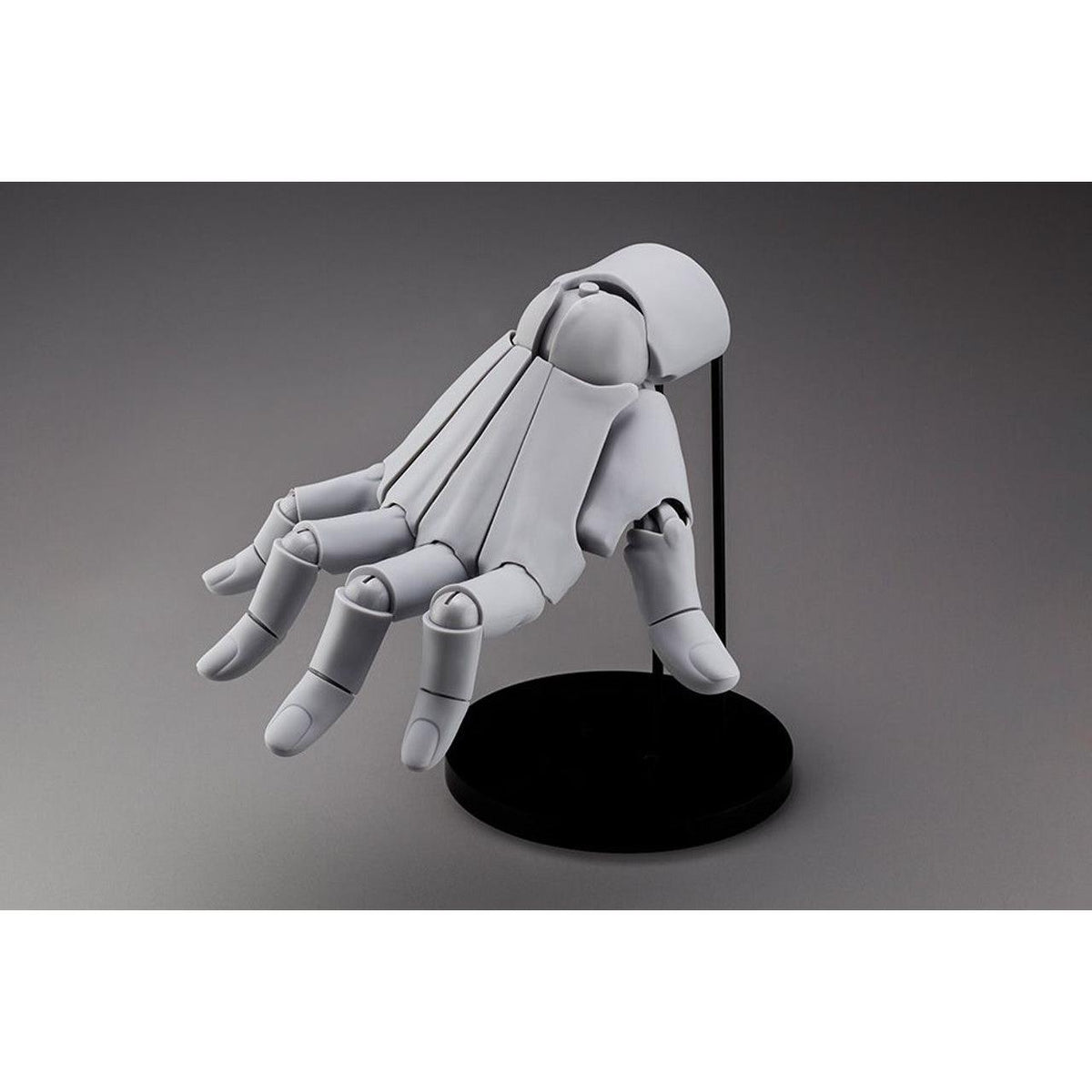 1/1 Artist Support Item Hand Model/R -Gray-