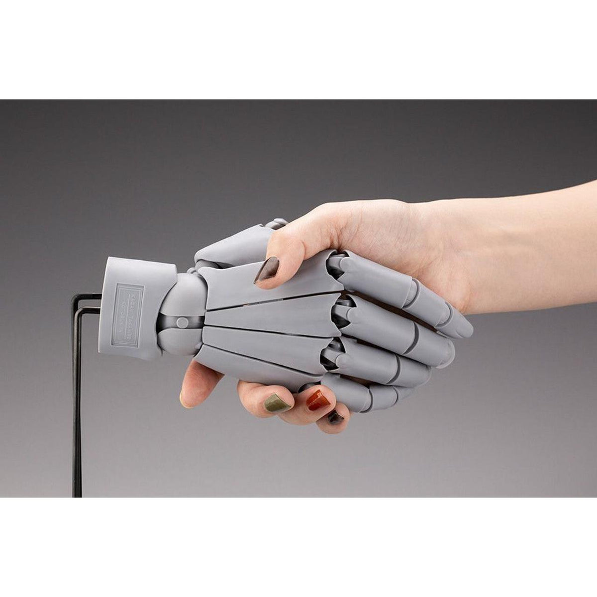 1/1 Artist Support Item Hand Model/R -Gray-