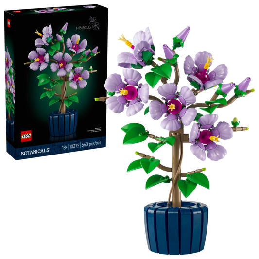 BOTANICALS - Hibiscus