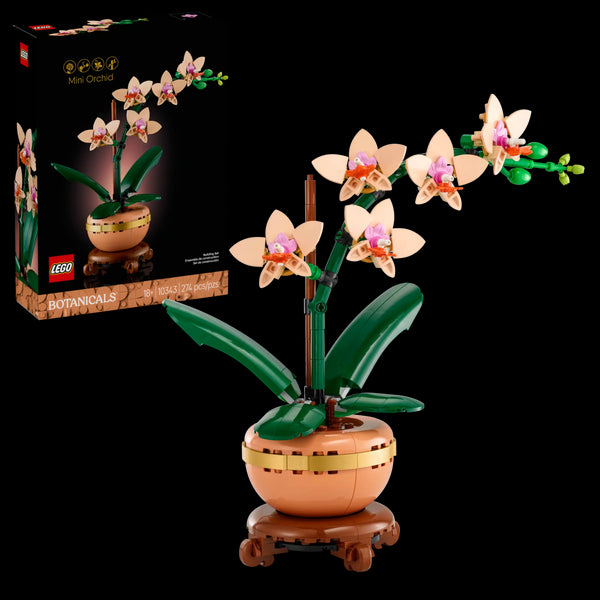 BOTANICALS - Mini Orchid