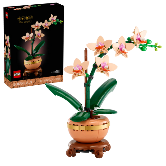 BOTANICALS - Mini Orchid