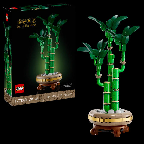 BOTANICALS - Lucky Bamboo