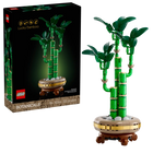 BOTANICALS - Lucky Bamboo