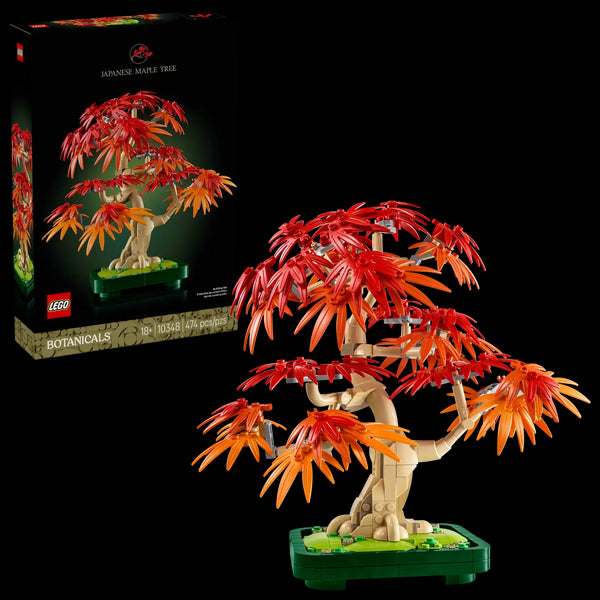 BOTANICALS - Japanese Red Maple Bonsai Tree