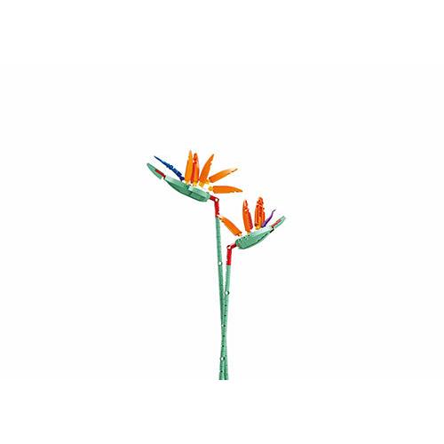 148pc Strelitzia Reginae with DIY Vase C32