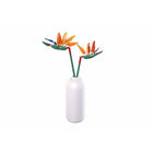 148pc Strelitzia Reginae with DIY Vase C32
