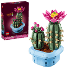 BOTANICALS - Flowering Cactus
