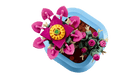 BOTANICALS - Flowering Cactus