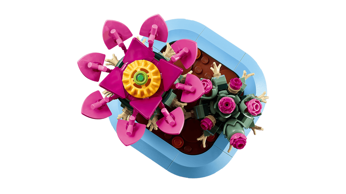 BOTANICALS - Flowering Cactus