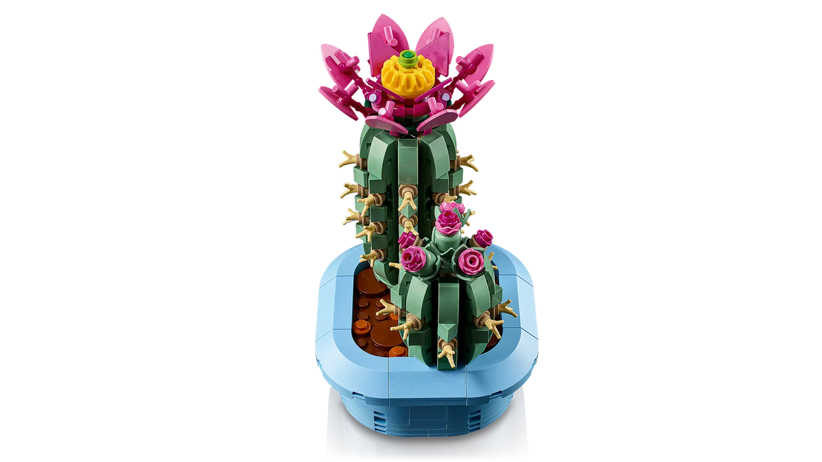 BOTANICALS - Flowering Cactus
