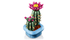 BOTANICALS - Flowering Cactus