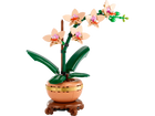 BOTANICALS - Mini Orchid