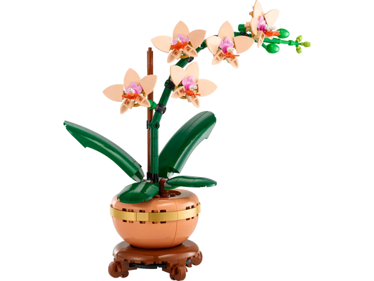 BOTANICALS - Mini Orchid