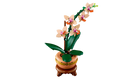 BOTANICALS - Mini Orchid