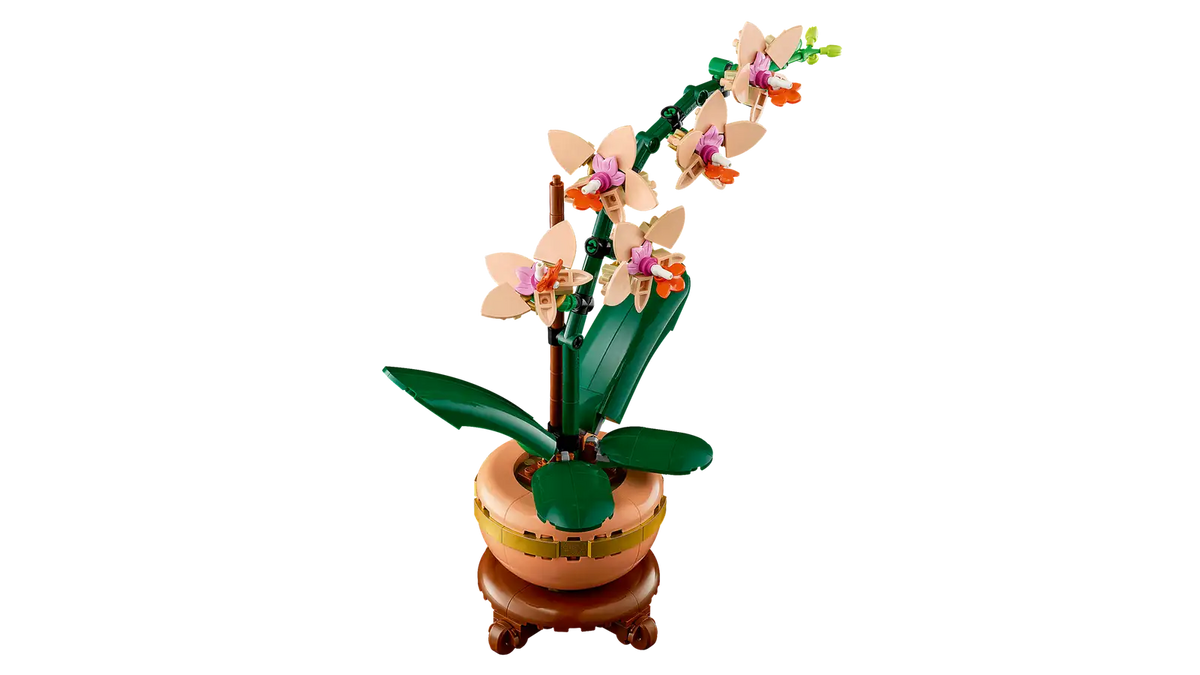 BOTANICALS - Mini Orchid