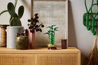 BOTANICALS - Lucky Bamboo