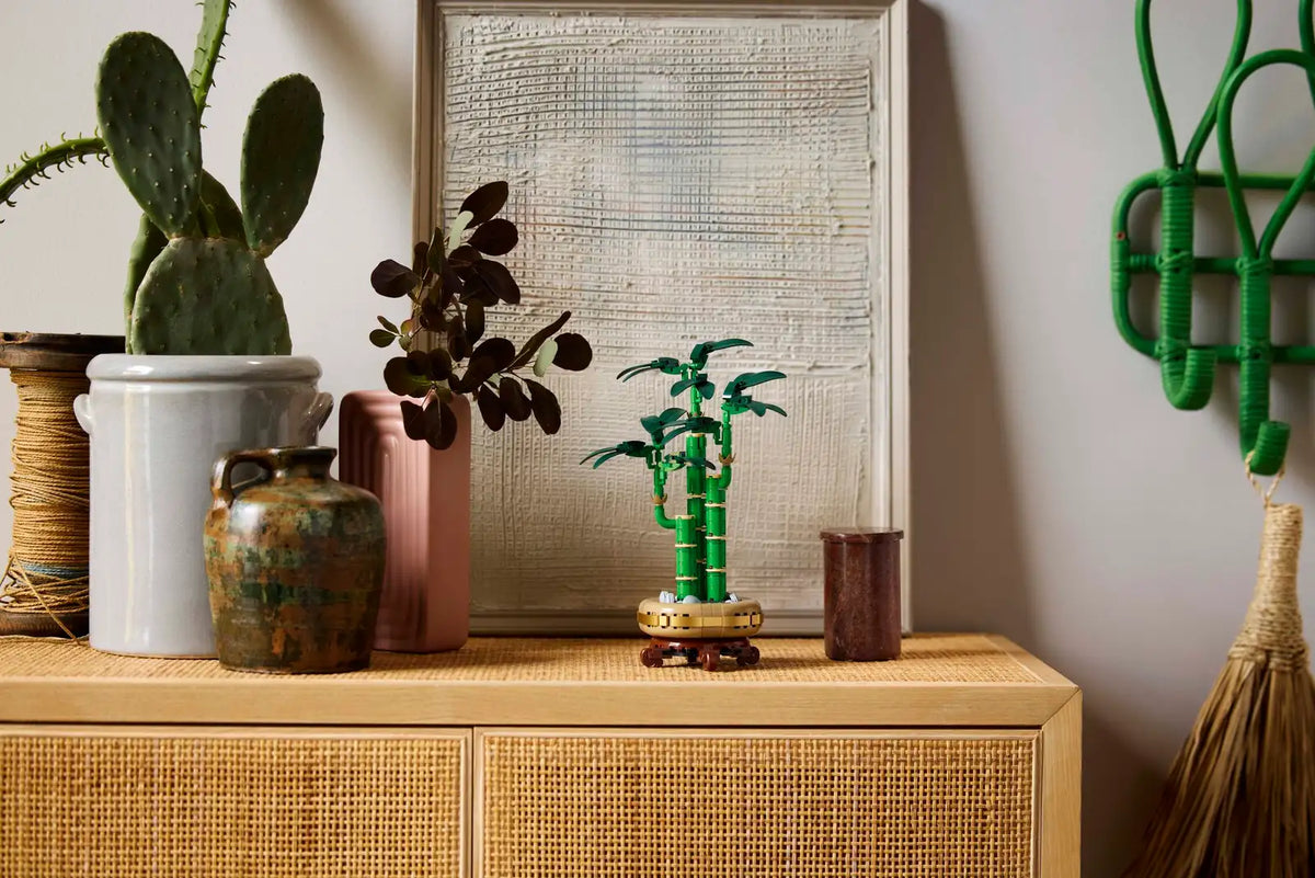 BOTANICALS - Lucky Bamboo