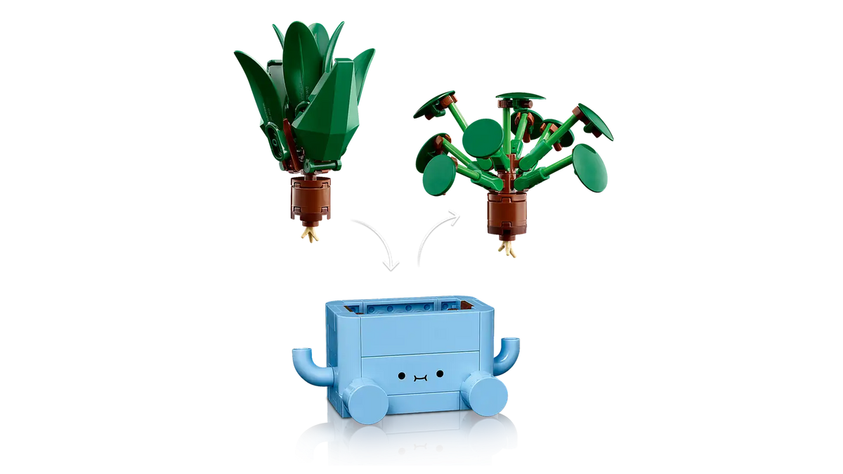 BOTANICALS - Happy Plants