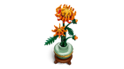 BOTANICALS - Chrysanthemum