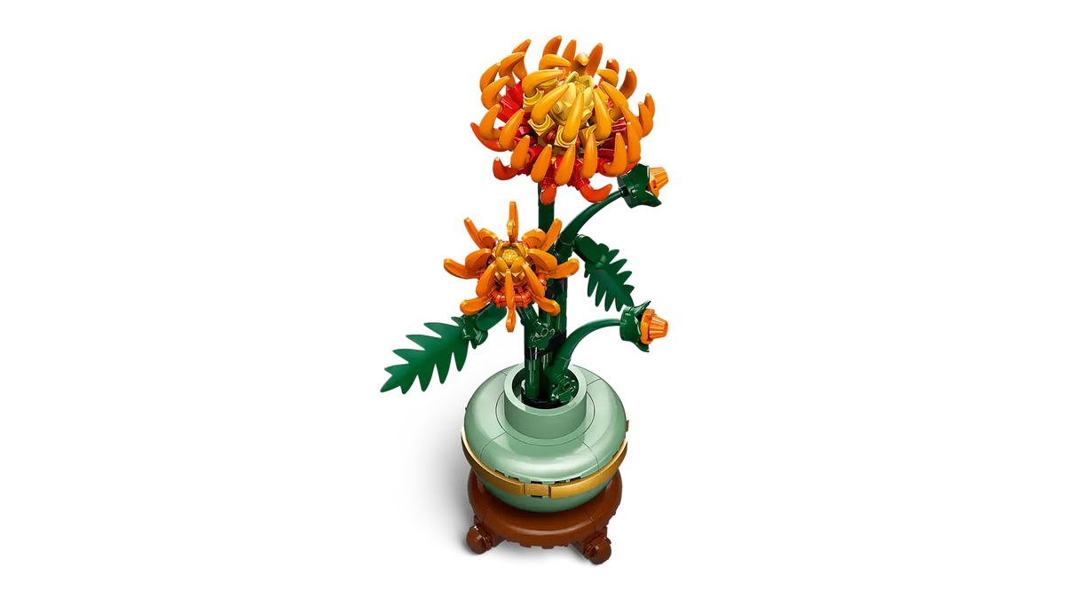 BOTANICALS - Chrysanthemum