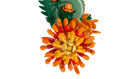 BOTANICALS - Chrysanthemum