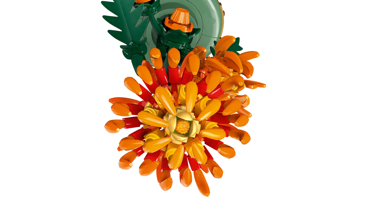 BOTANICALS - Chrysanthemum