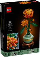 BOTANICALS - Chrysanthemum