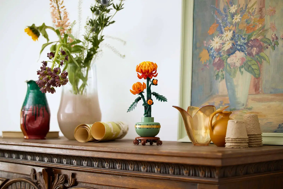 BOTANICALS - Chrysanthemum