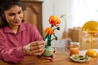 BOTANICALS - Chrysanthemum