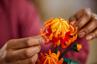 BOTANICALS - Chrysanthemum