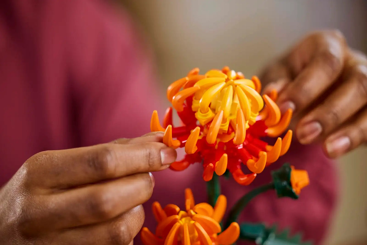 BOTANICALS - Chrysanthemum