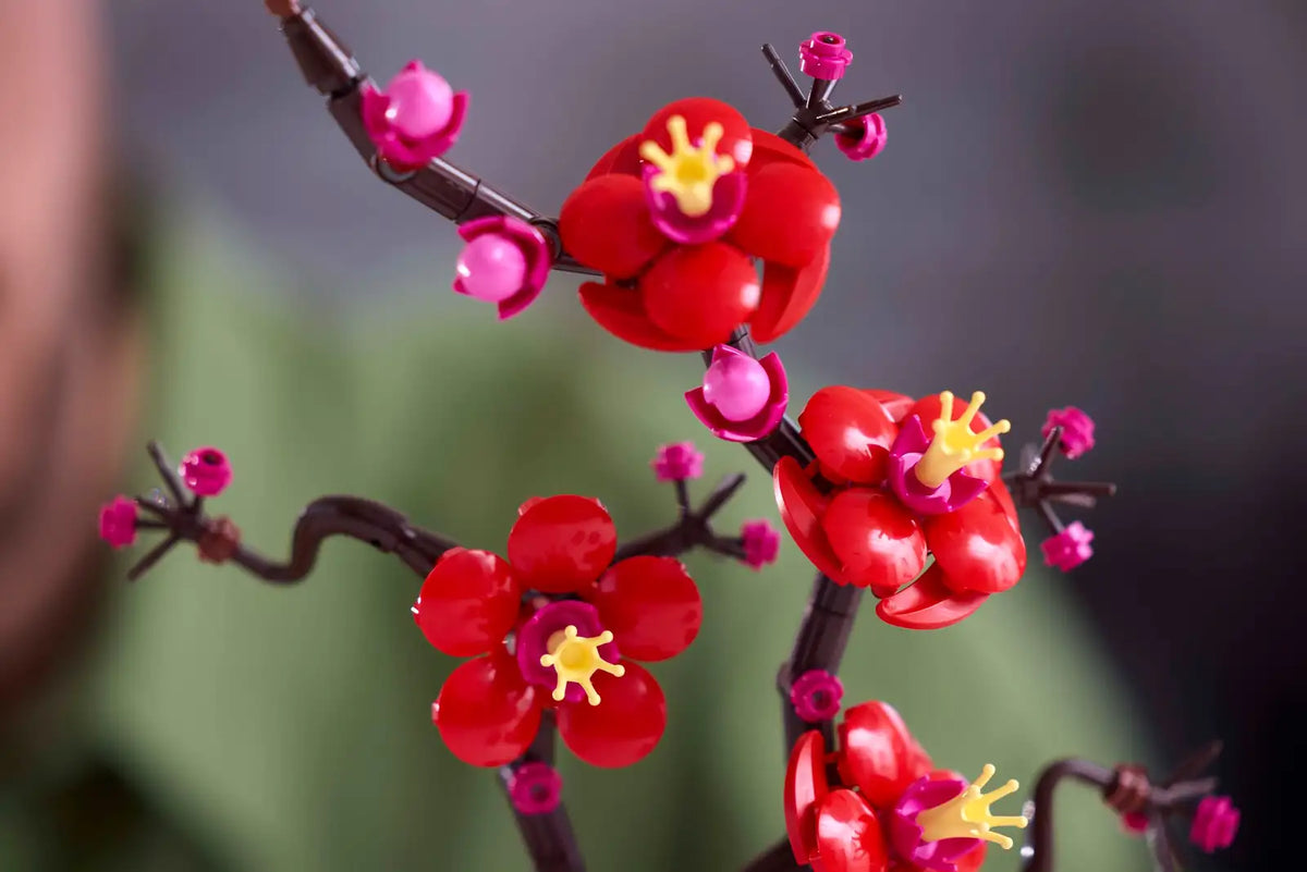 BOTANICALS - Plum Blossom