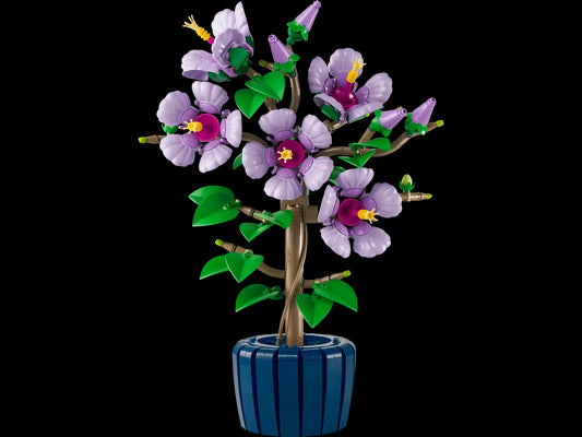 BOTANICALS - Hibiscus