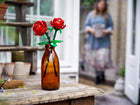 OTHER - Roses