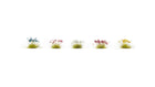 HO Flowers (Red, Blue, Yellow, Pink, White) 250pcs