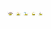 HO Flowers (Green and Yellow, Blue and White, Heather, Cornflowers, Lavender) 250pcs