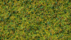 HO Master Grass Blend Cow Pasture 50g